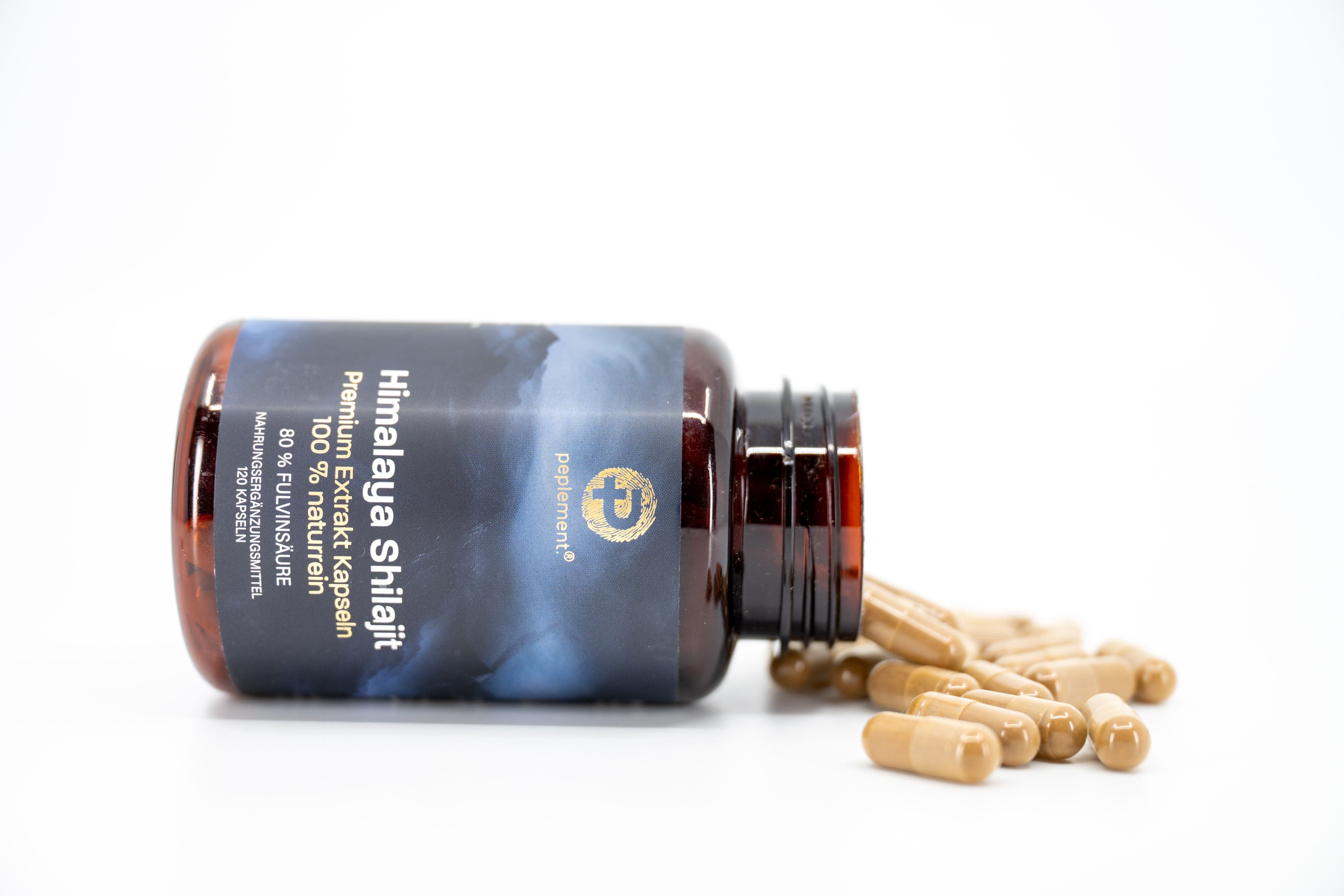 Anti-Stress Bundle - Shilajit, Vitalpilze & Ashwagandha