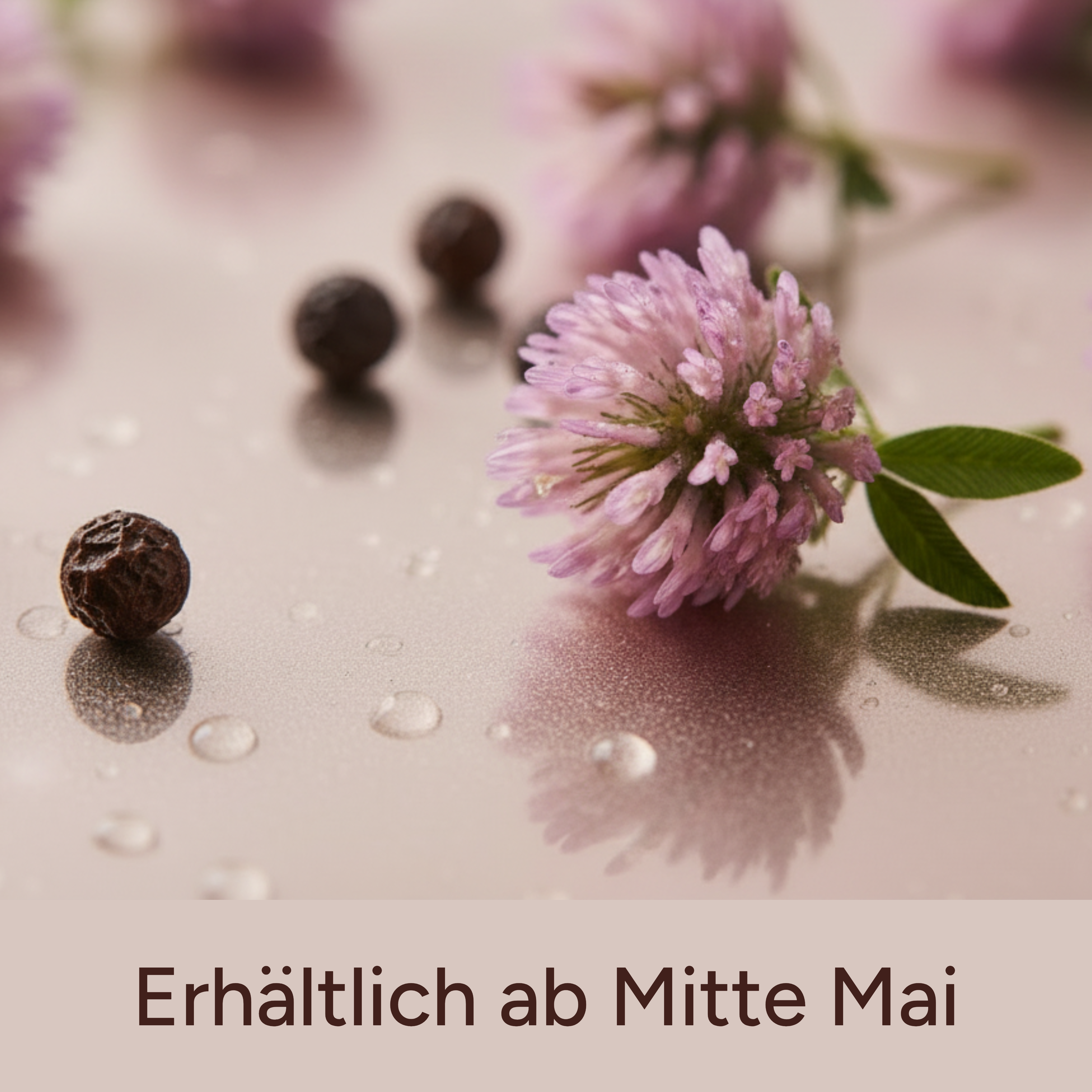 Shilajit plus+ Women's Edition – Premium Balance & Energie Complex (ERHÄLTLICH AB MITTE MAI)