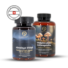 Anti-Stress Bundle - Shilajit, Vitalpilze & Ashwagandha