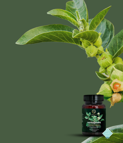 Ashwagandha Gummies 
für dein Wohlbefinden