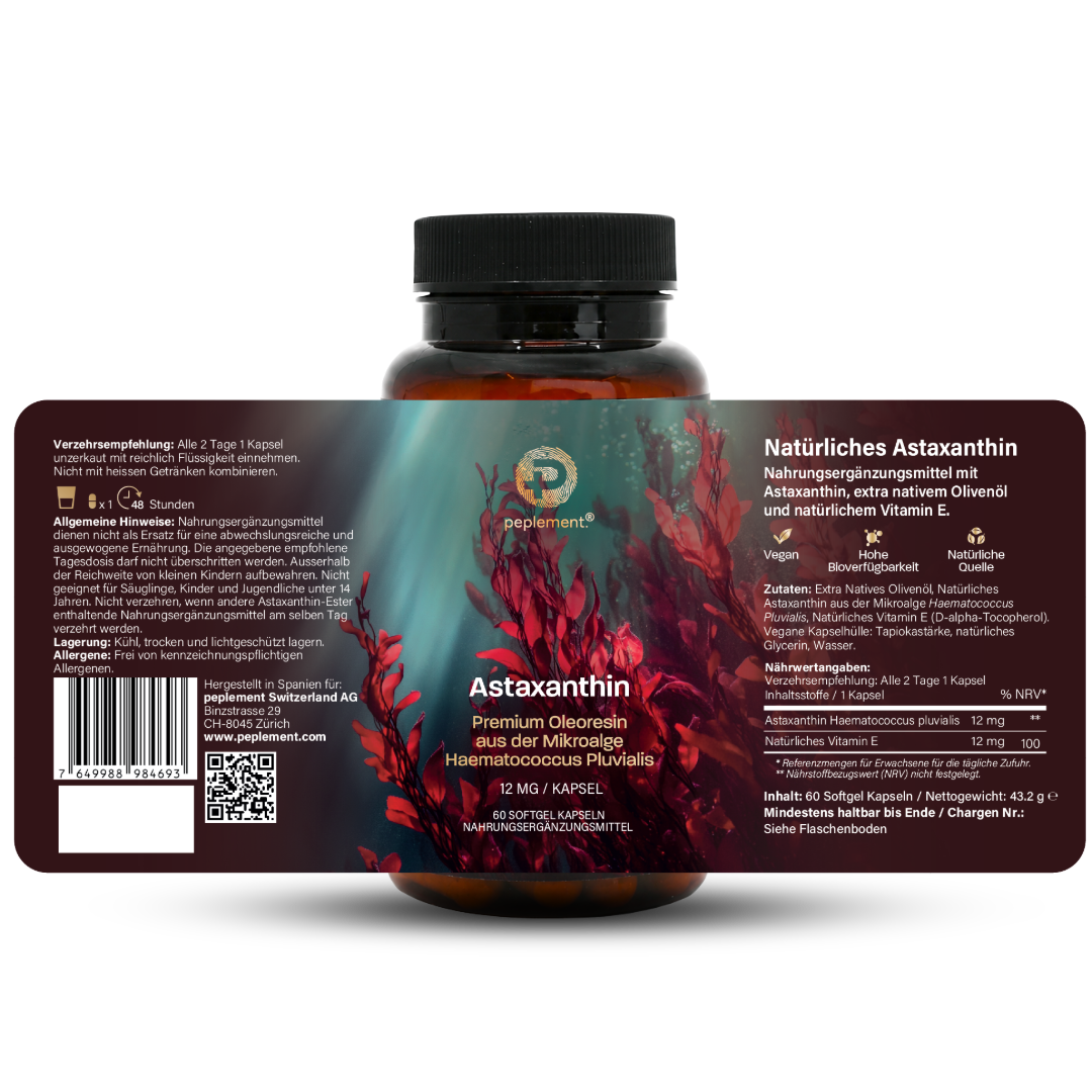 Performance & Recovery Bundle