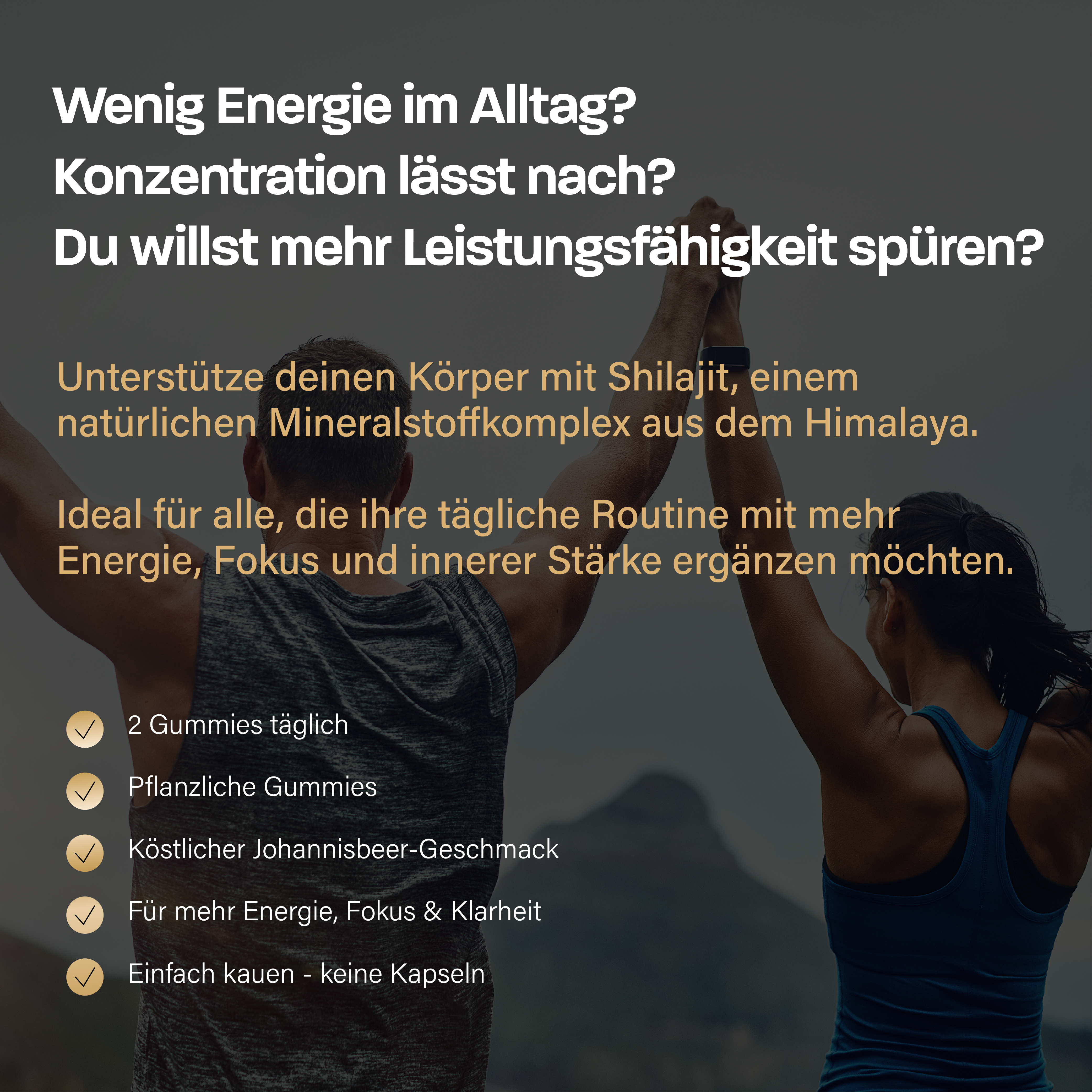 Himalaya Shilajit Gummies mit Ashwagandha, B6, B12 und Zink