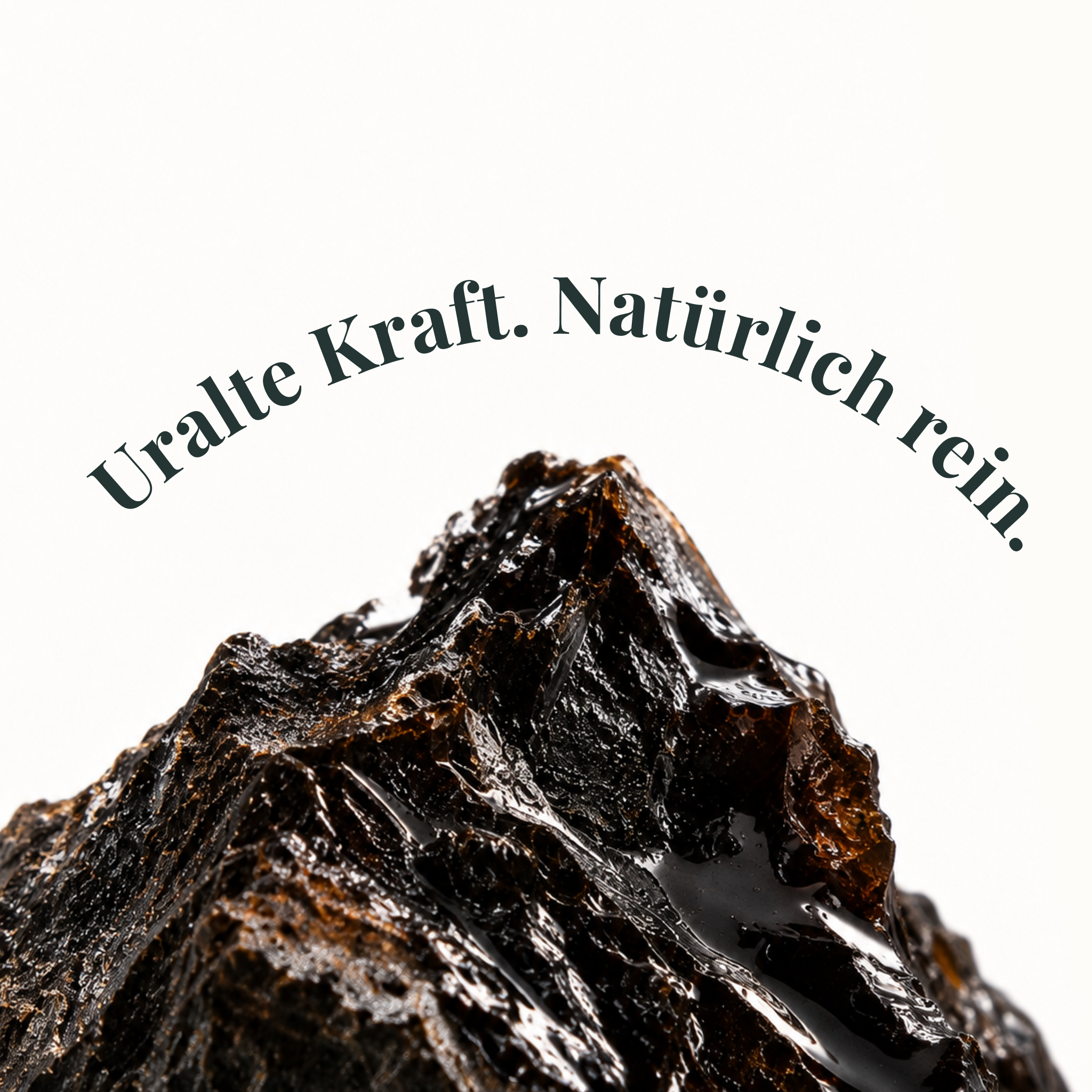 Anti-Stress Bundle - Shilajit, Vitalpilze & Ashwagandha