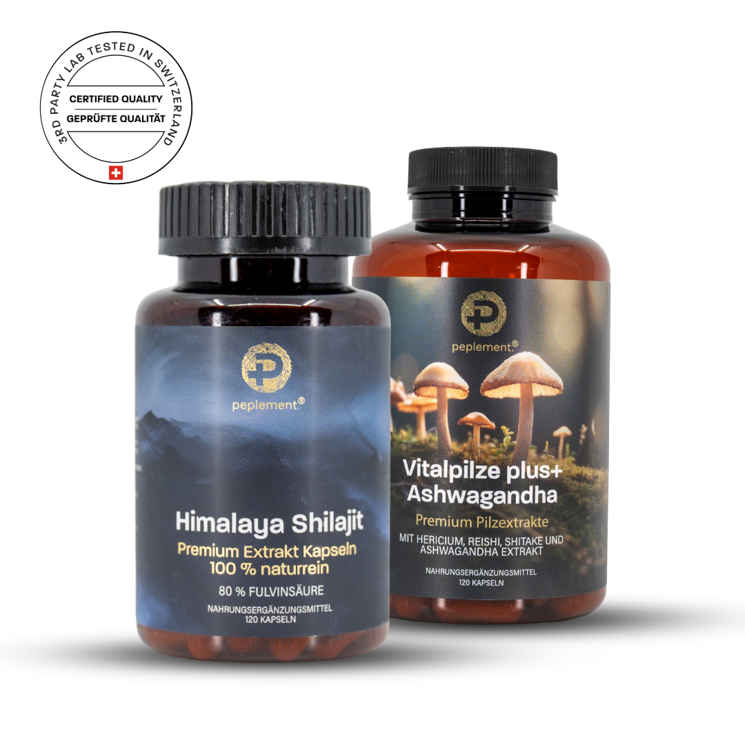 Anti-Stress Bundle mit Shilajit & Vitalpilzen