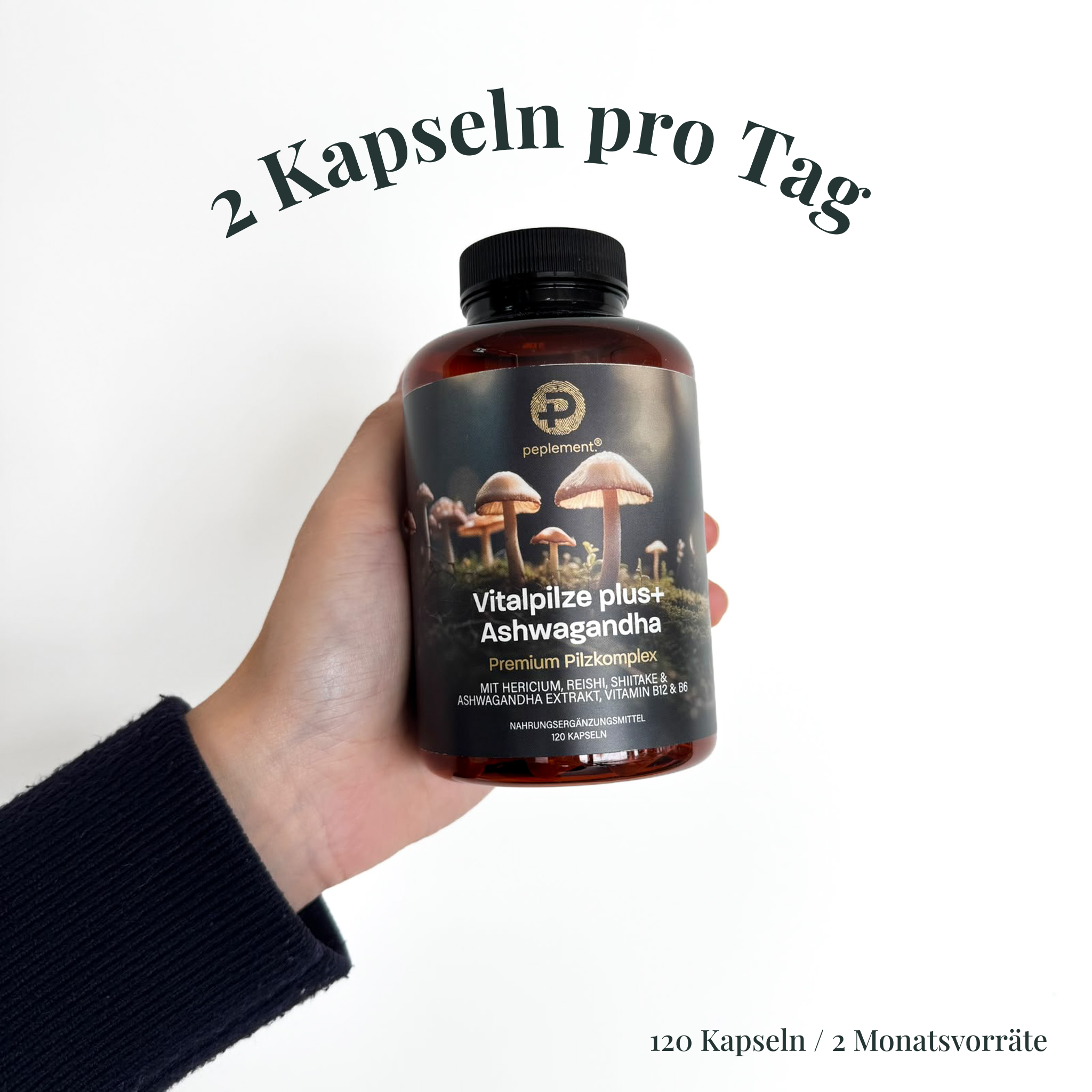 Anti-Stress Bundle - Shilajit, Vitalpilze & Ashwagandha