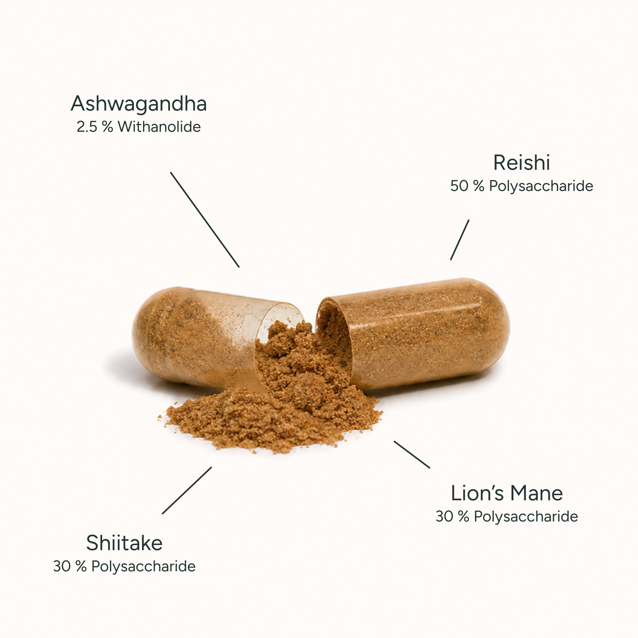 Anti-Stress Bundle - Shilajit, Vitalpilze & Ashwagandha