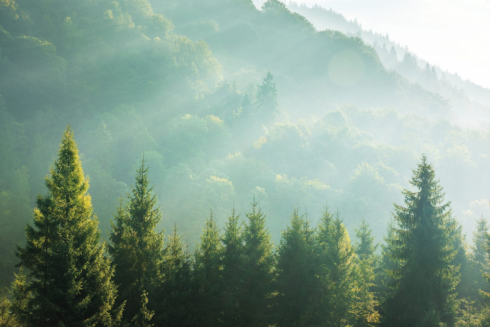 Biohacking by Nature